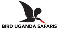 Bird Uganda Safaris
